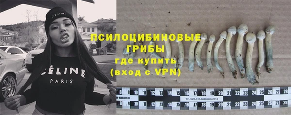 гидра Нягань