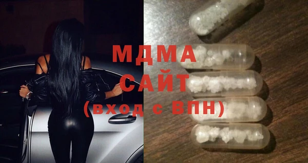 индика Богородск