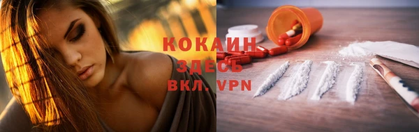 прущие крисы Новозыбков