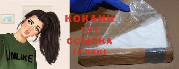 не бодяженный Няндома