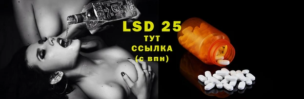 прущие крисы Новозыбков
