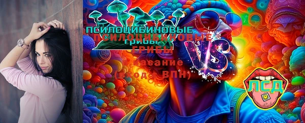 хмурый Гусев