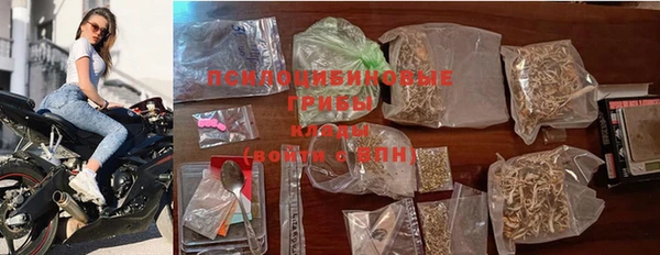 не бодяженный Няндома