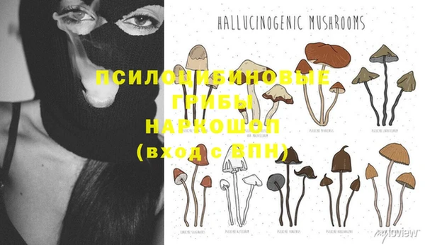 гидра Нягань