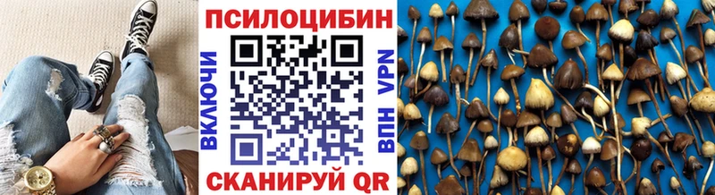 Псилоцибиновые грибы прущие грибы  даркнет сайт  Миньяр 